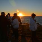 Cambria_2015_0186 (November 07, 2015)